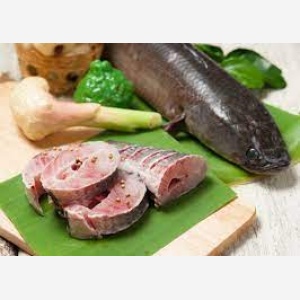 new ham shop
