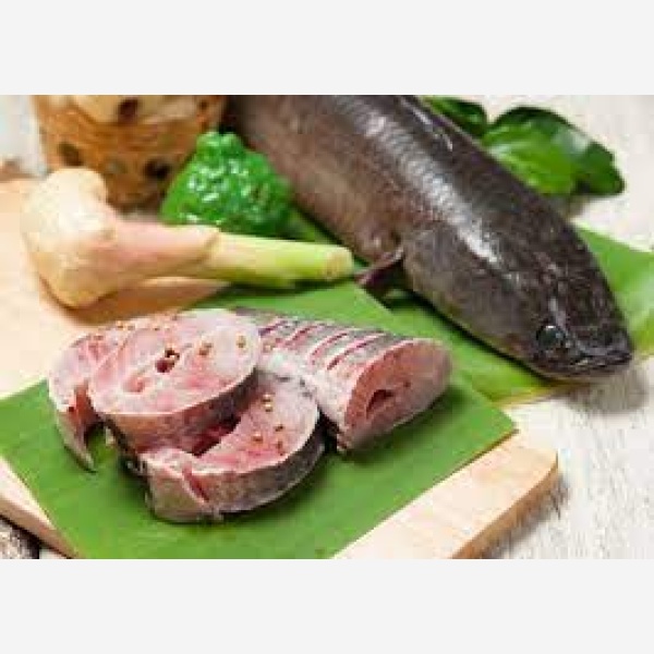 new ham shop